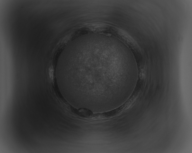 X0000100901108200806241246