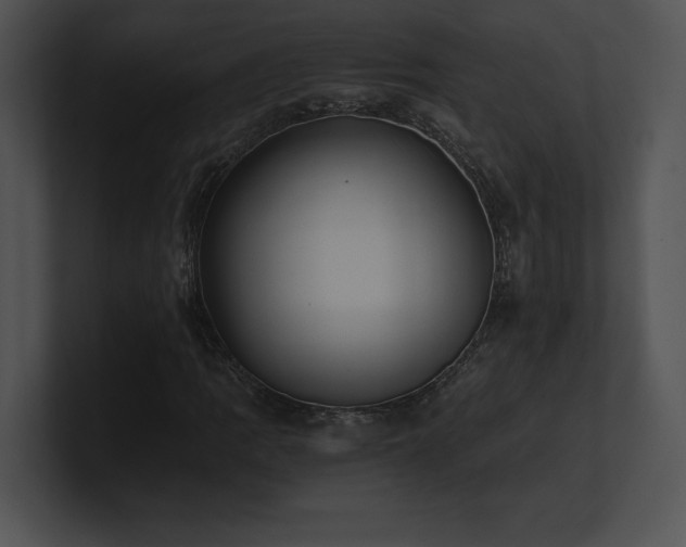 X0000100901109200806241246