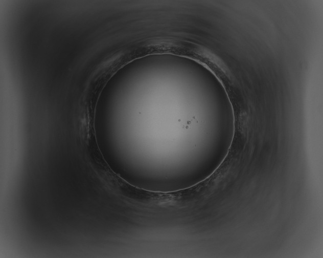 X0000100901111200806241246