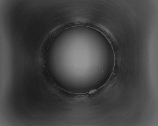 X0000100901112200806241246
