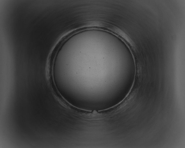 X0000100901116200806241246