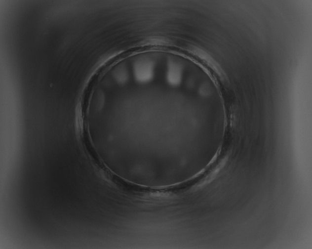 X0000100901117200806241246