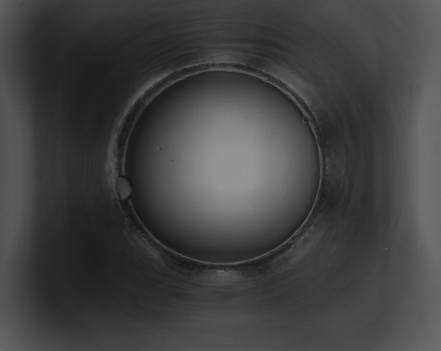 X0000100901119200806241246