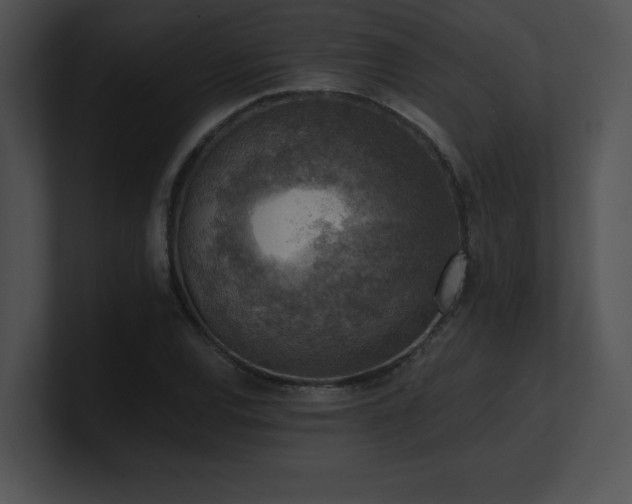 X0000100901120200806241246
