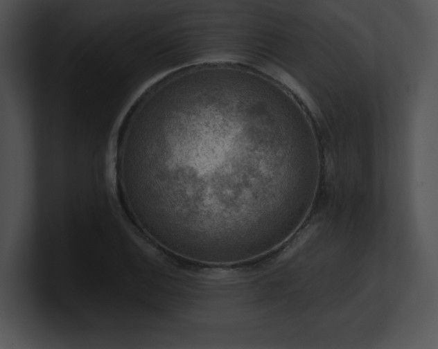 X0000100901124200806241246