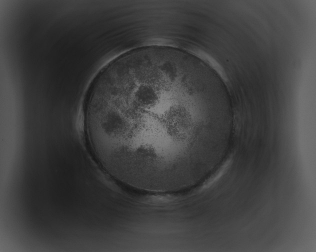 X0000100901125200806241246