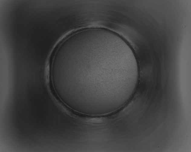 X0000100901126200806241246