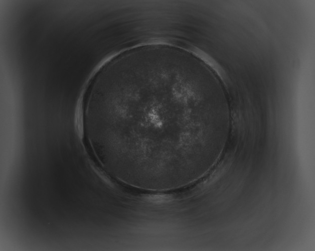 X0000100901127200806241246