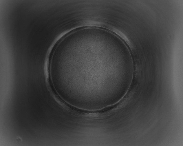 X0000100901128200806241246