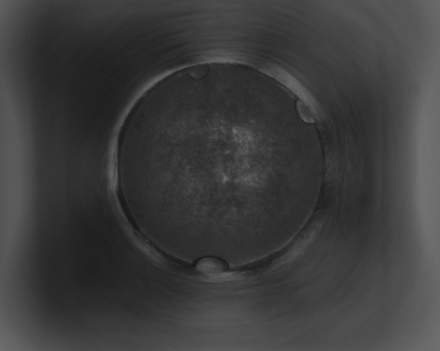 X0000100901132200806241247