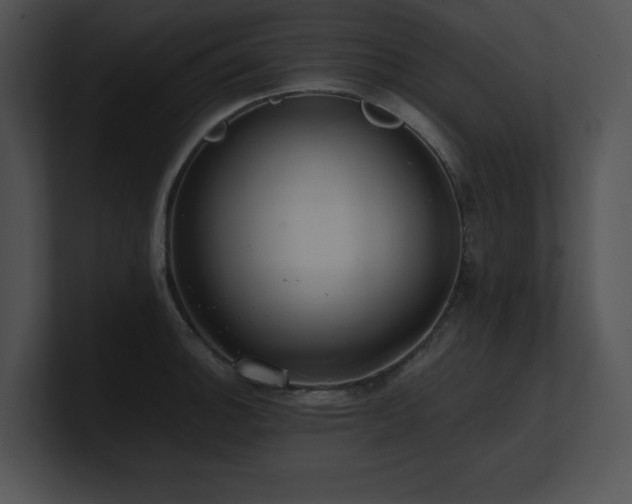 X0000100901140200806241247