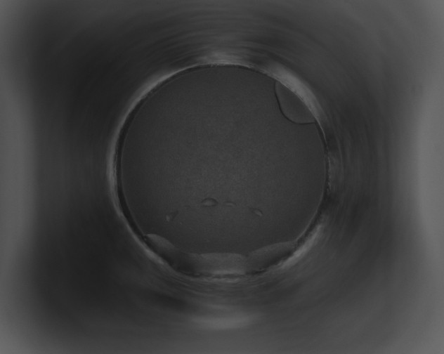 X0000100901141200806241247