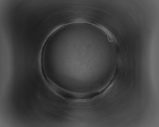 X0000100901142200806241247
