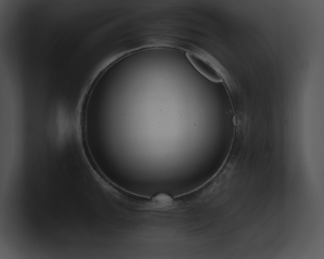 X0000100901143200806241247