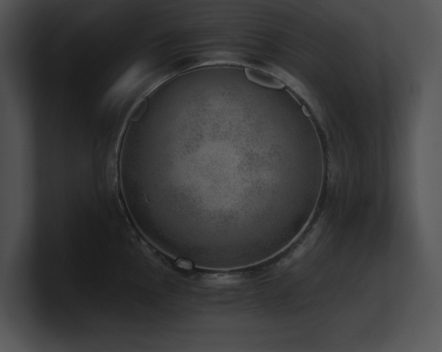 X0000100901145200806241247
