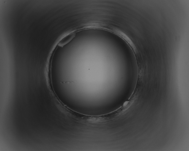 X0000100901146200806241247