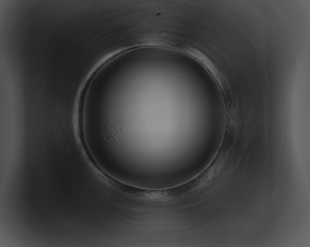 X0000100901147200806241247