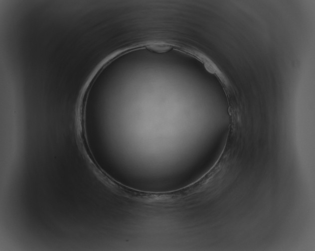 X0000100901148200806241247
