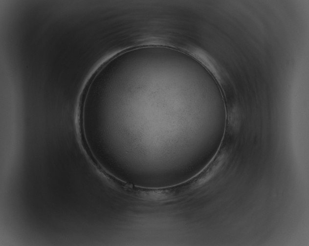 X0000100901149200806241247