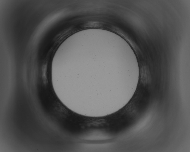 X0000100901150200806241247