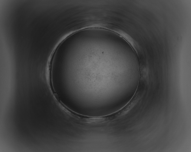 X0000100901151200806241247