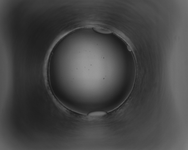 X0000100901152200806241247