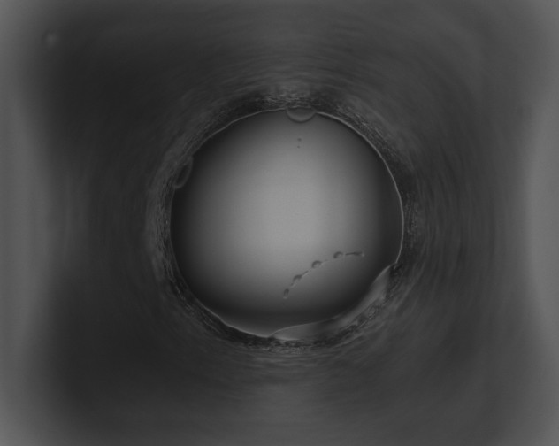 X0000100901153200806241246