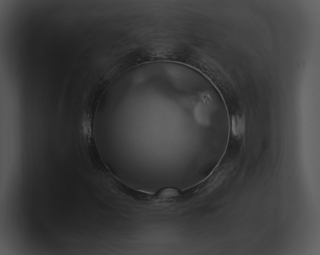 X0000100901155200806241246