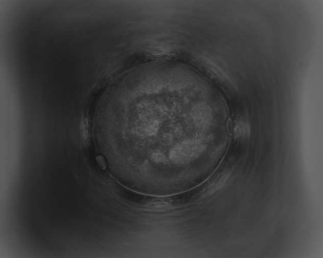 X0000100901156200806241246