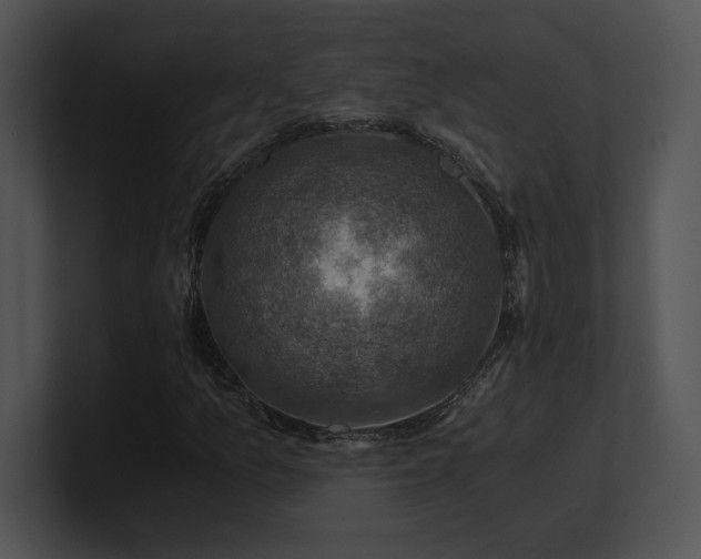 X0000100901157200806241246