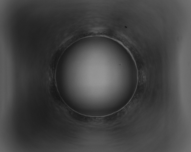 X0000100901158200806241246