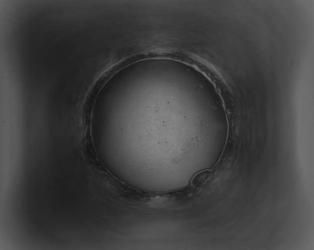 X0000100901160200806241246