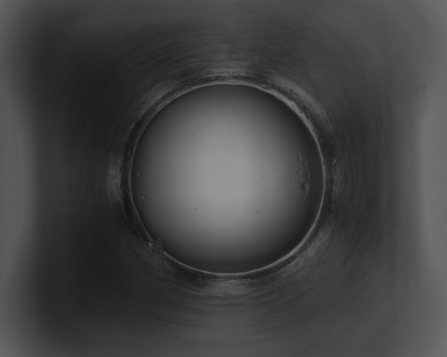 X0000100901162200806241246