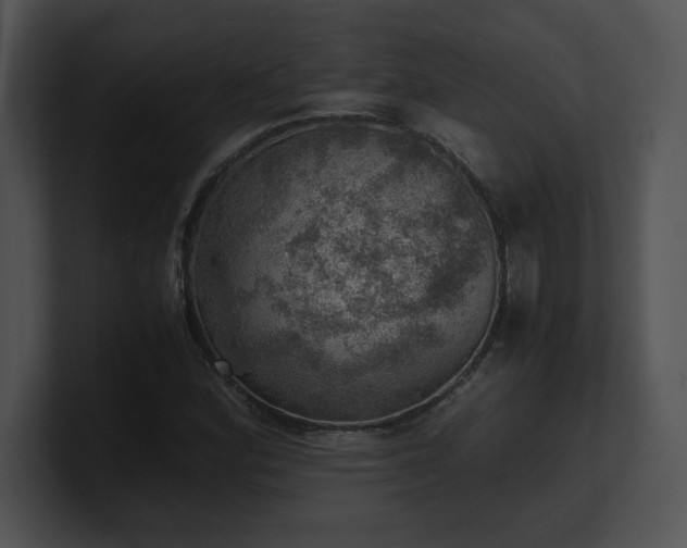 X0000100901164200806241246