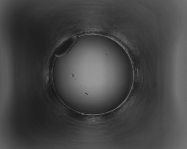 X0000100901165200806241246