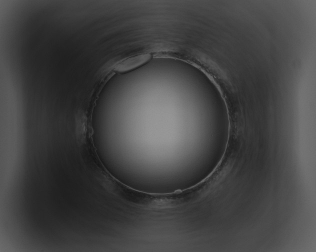 X0000100901169200806241246
