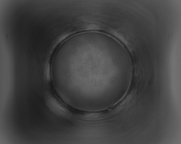 X0000100901171200806241246