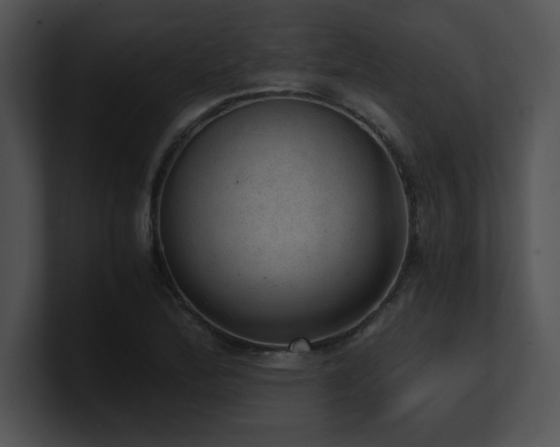 X0000100901172200806241246