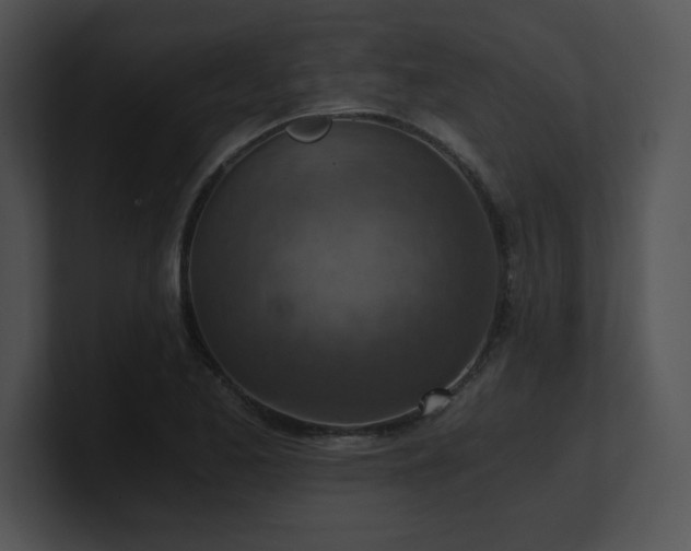 X0000100901173200806241246