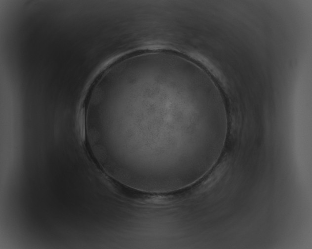 X0000100901175200806241246
