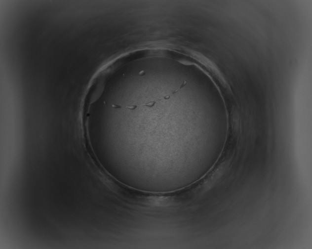 X0000100901176200806241246