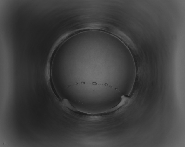 X0000100901180200806241246