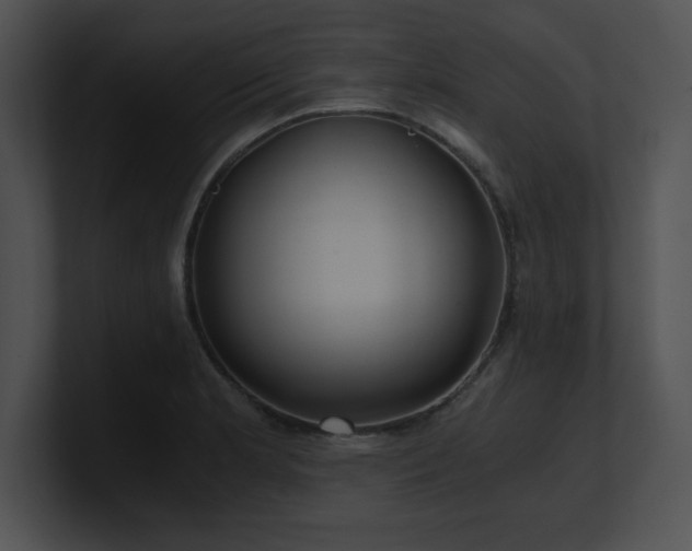 X0000100901181200806241246