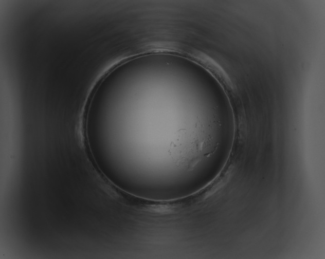 X0000100901182200806241246