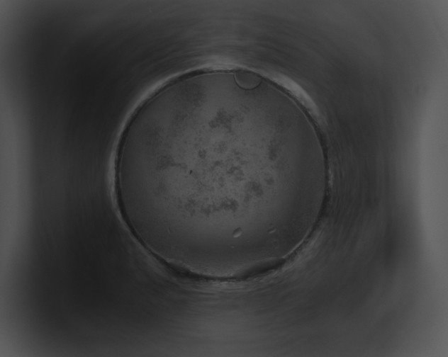 X0000100901183200806241246