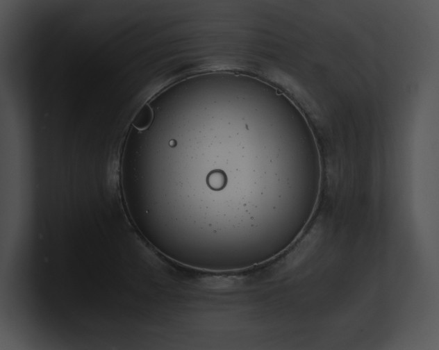X0000100901185200806241246