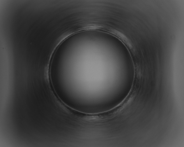 X0000100901186200806241246