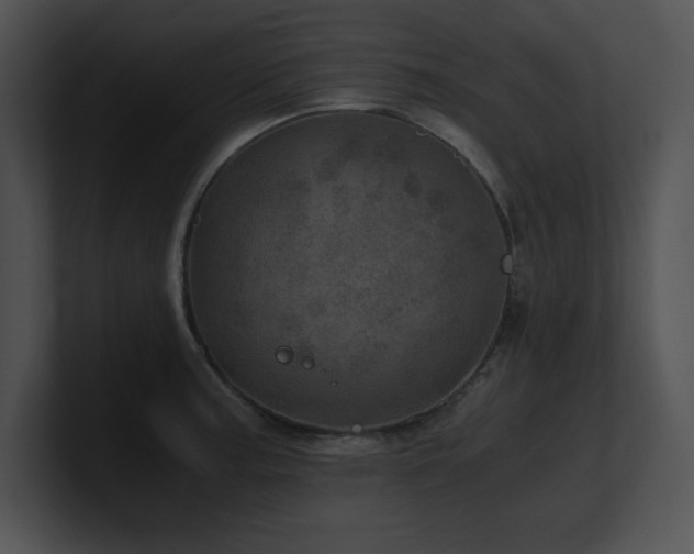 X0000100901187200806241246
