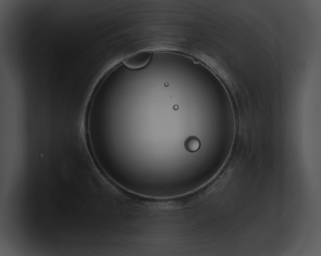 X0000100901189200806241246