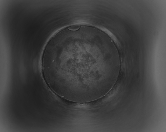 X0000100901191200806241246